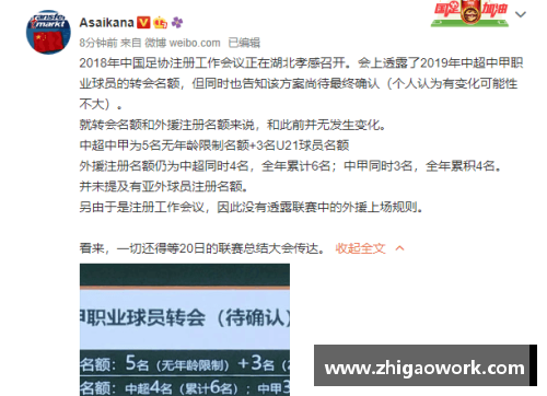 中国足协注册球员查询系统解析